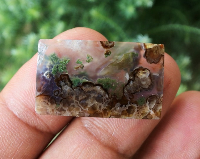 Plume Multicolor Opalized Petrified Wood