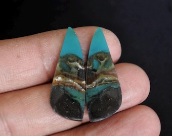Opalized Wood Earrings
