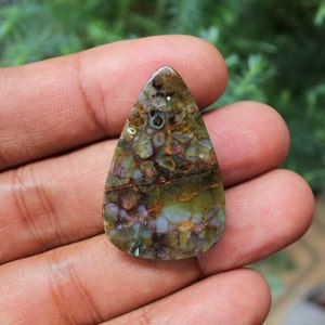 Plume Multicolor Opalized Petrified Wood