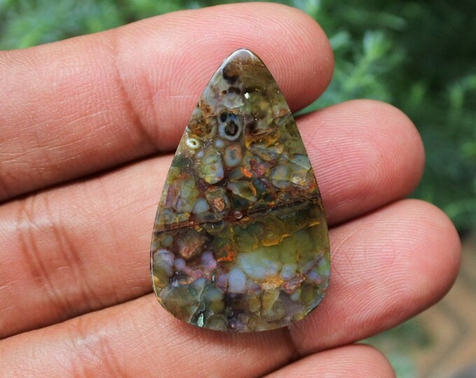 Plume Multicolor Opalized Petrified Wood