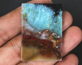 Bois pétrifié bleu opalisé pittoresque