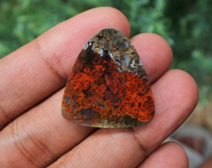 Plume Multicolor Opalized Petrified Wood