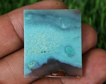 Blue Opalized Petrified Wood