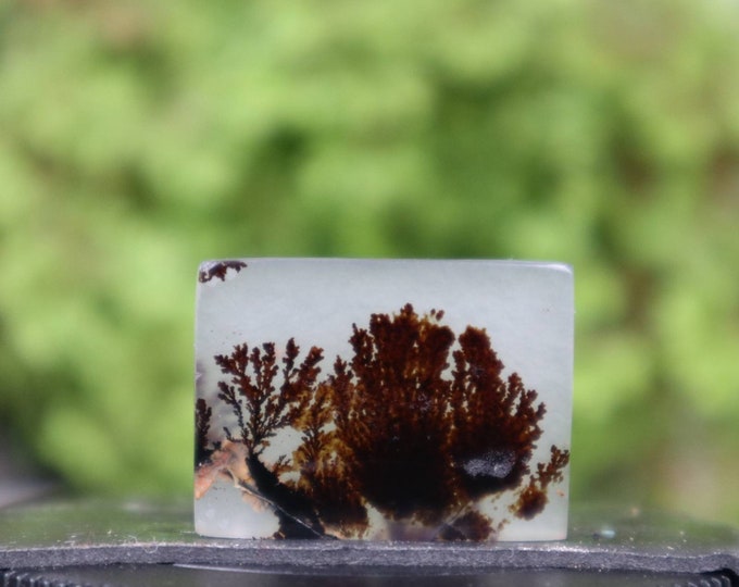 Dendritic agate,Agate rock,Malachite Gemstone,Mohs scales of mineral hardness,Agate crystal meaning,Larima gemstone,Flower agate,Tree agate