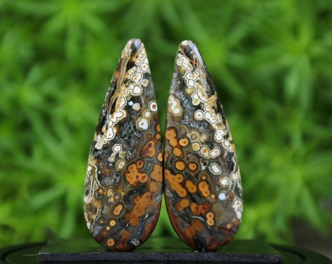 Ocean Jasper Earring Pair