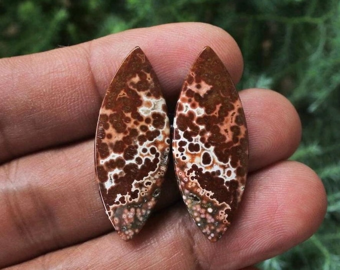 Multicolor Ocean Jasper Earring Pair