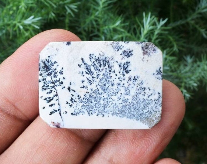 Multicolor Opalized wood