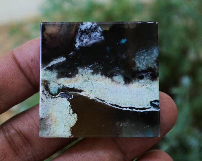 Opalized petrified wood