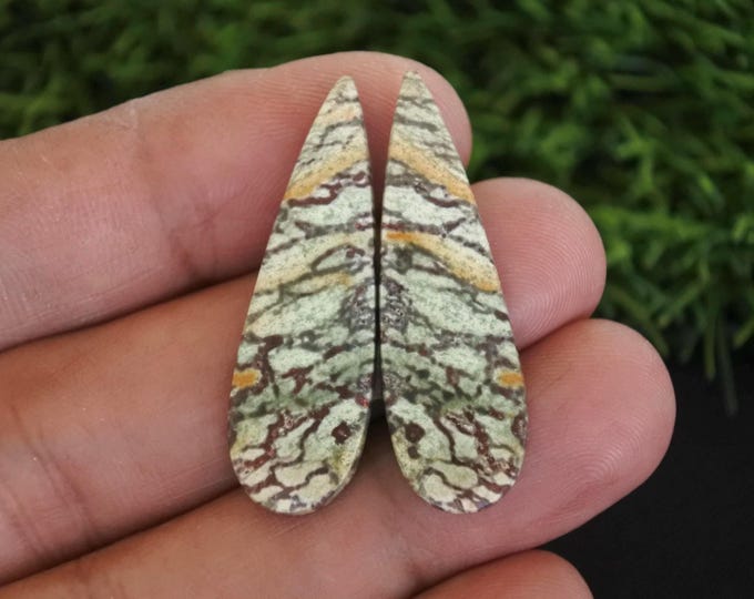 Polycrhome Jasper Earring Pair