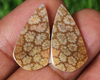 Coral Agate Earring Pair