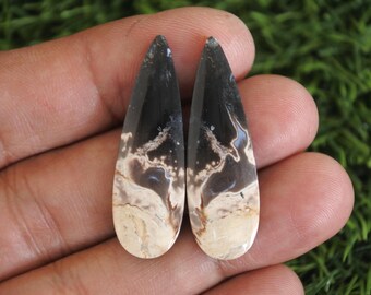 Fossilized Palmwood Stone Earring Pair