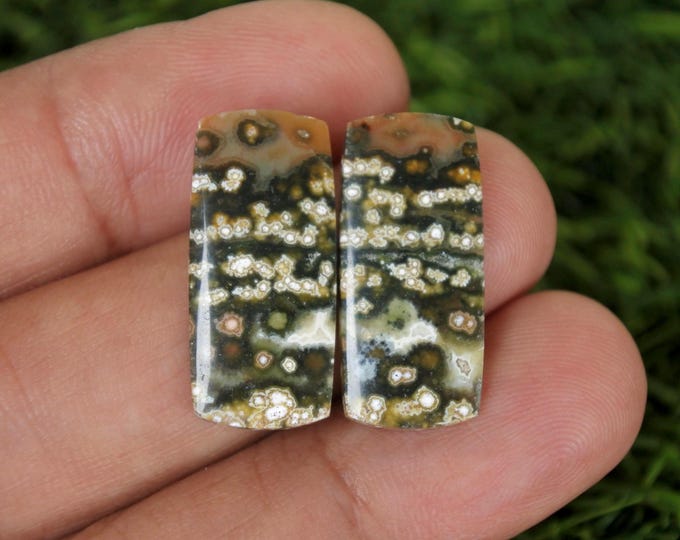 Java River Jasper,Ocean Jasper Earring Pair
