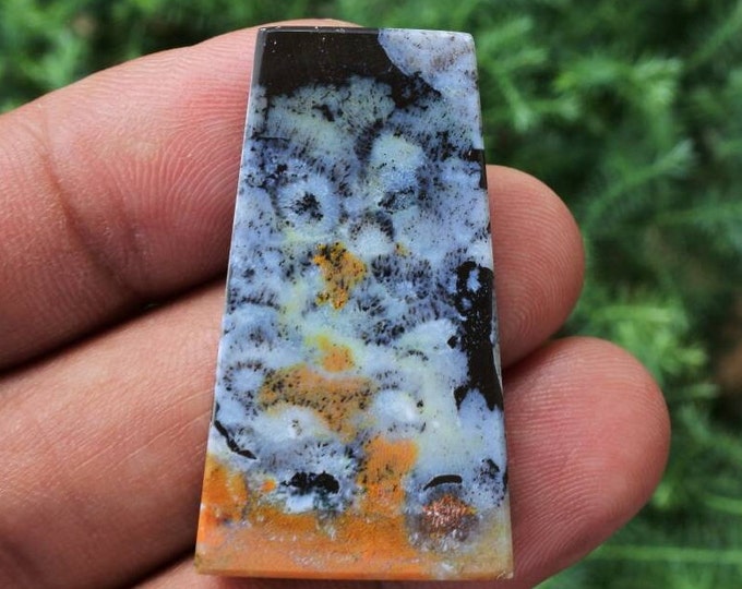 Multicolor Opalized wood