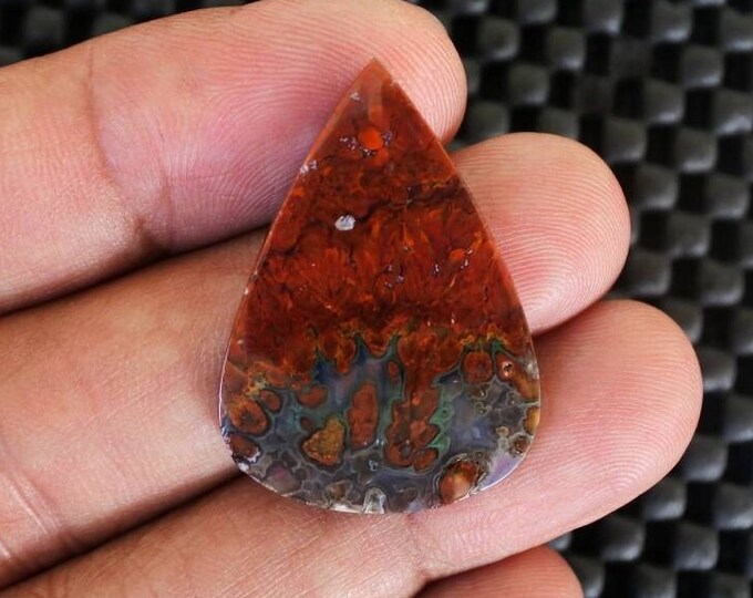 Plume Multicolor Opalized Petrified Wood