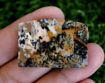 Dendritic Jasper Gemstone: Tree Agate Crystal