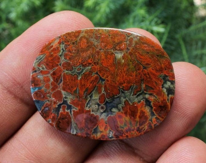 Plume Multicolor Opalized Petrified Wood