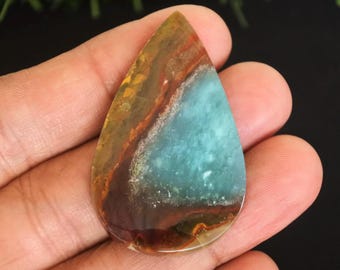 Opalized Petrified Wood