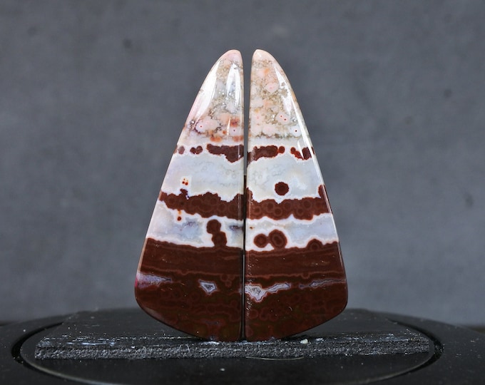 Multicolor Ocean Jasper Earring Pair