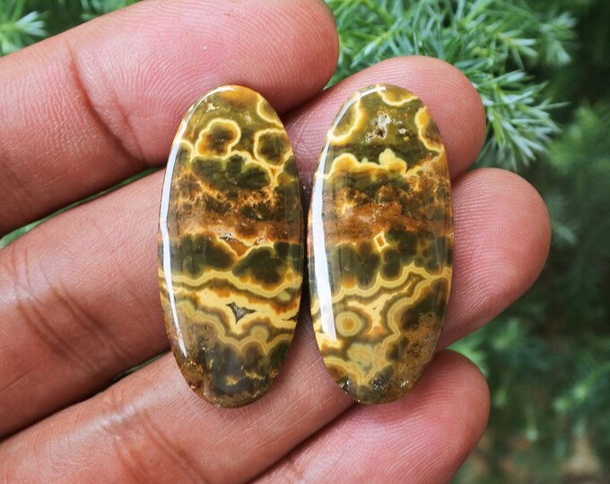 Java Ocean Jasper Earring Pair