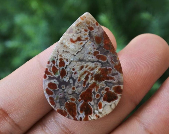 Plume Multicolor Opalized Petrified Wood