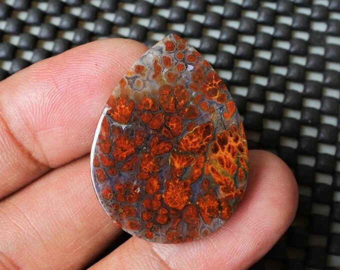 Plume Multicolor Opalized Petrified Wood