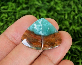 Opalized Wood Earrings