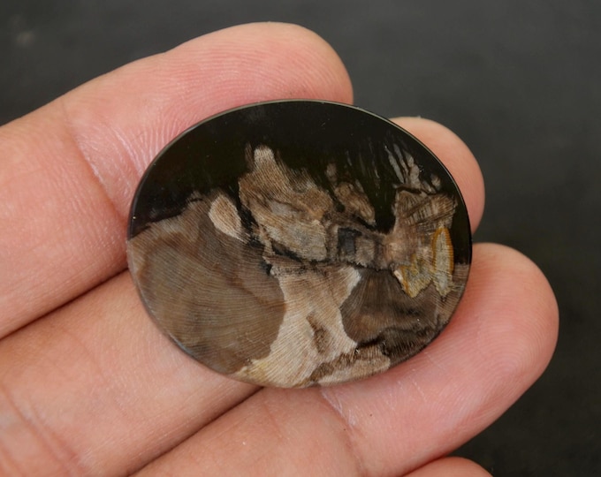 Petrified Wood