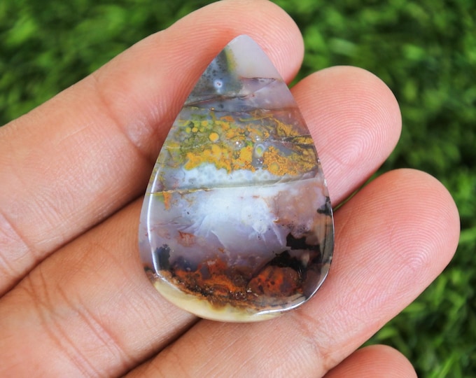 Opalized petrified wood