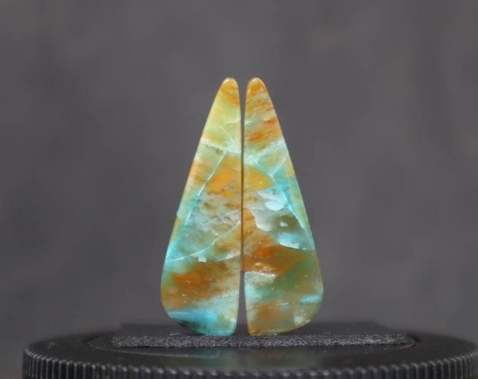 Blue Opalized wood Earring Pair