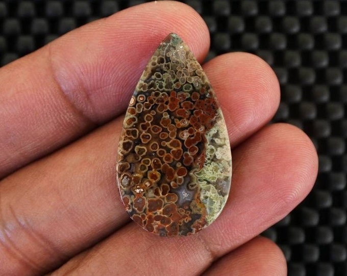 Plume Multicolor Opalized Petrified Wood