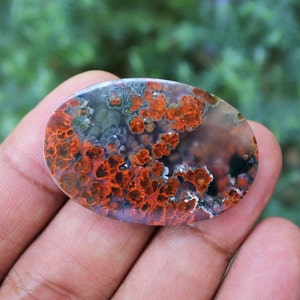 Plume Multicolor Opalized Petrified Wood
