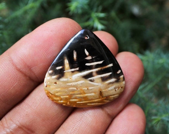 Fossilized Black Palm Tree