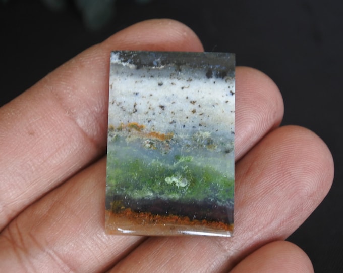Opalized Petrified wood