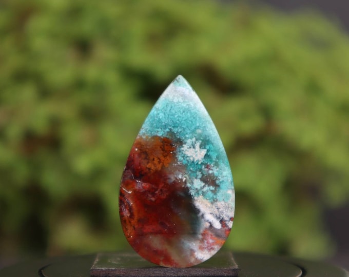 Multicolor Opalized wood