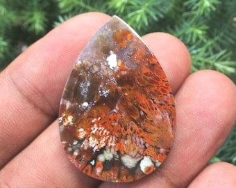 Plume Opalized Wood