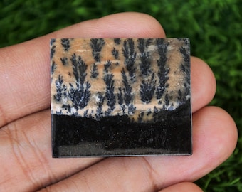 Dendritic Jasper Gemstone: Tree Agate Crystal