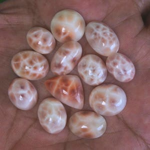 Pode incluir: Uma coleção de 11 cabochões ovalados de pedra preciosa, brancos e marrons, polidos.