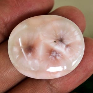 Pode incluir: Uma pedra preciosa polida, de forma oval, com uma base branca cremosa e padrões em espiral rosa e castanho. A pedra tem uma superfície brilhante e os padrões assemelham-se a uma flor ou a um desenho abstrato. A pedra é segurada numa mão.