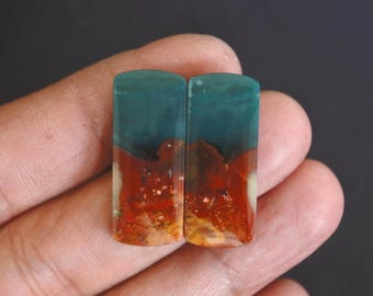 Opalized Wood Earrings