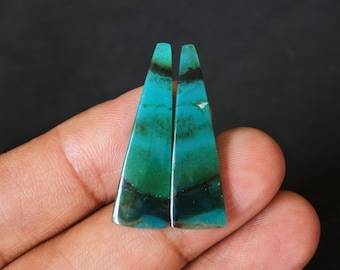 Opalized Wood Earrings