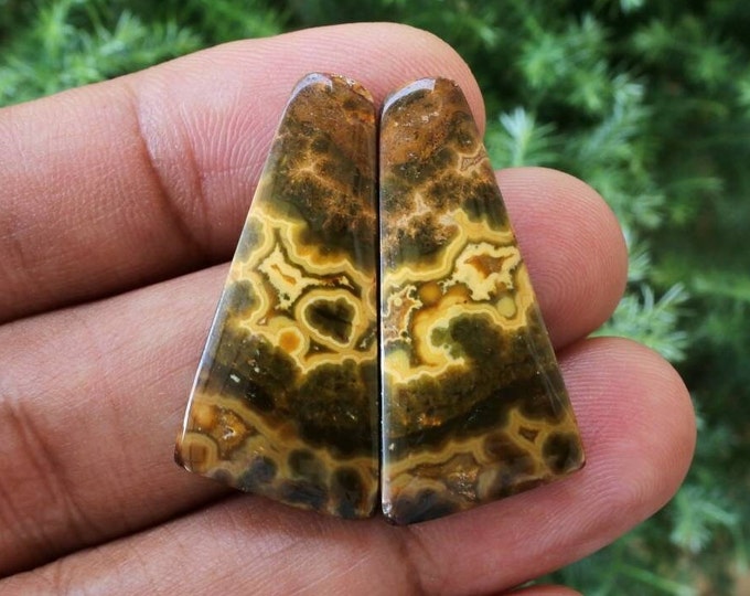 Multicolor Ocean Jasper Earring Pair