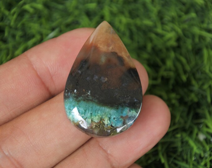 Multicolor Opalized Wood