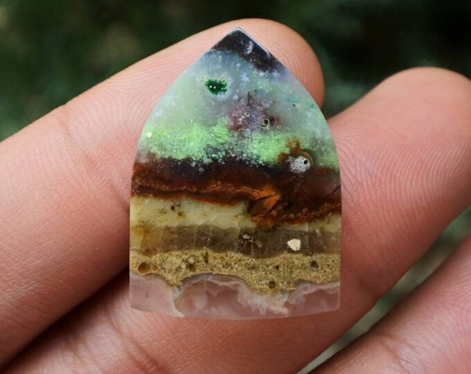 Multicolor Opalized wood