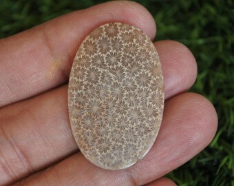 Coral Agate Gemstone