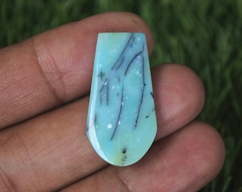Opalized Wood