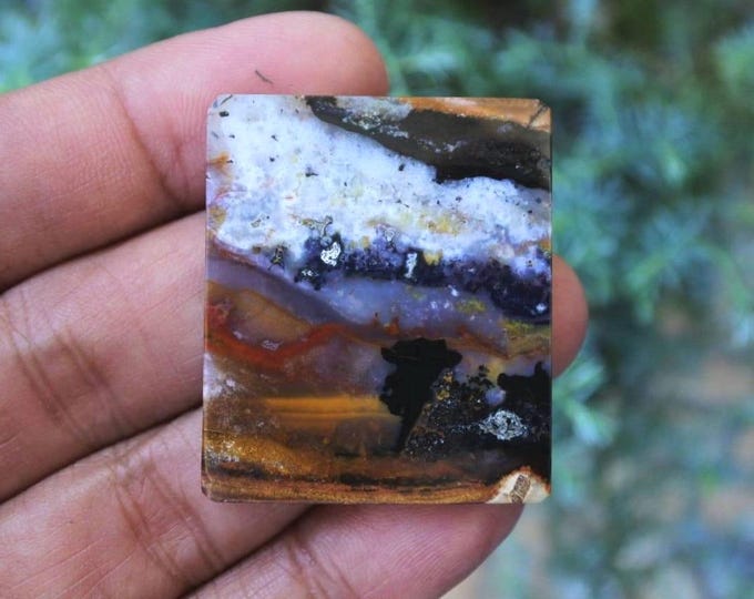 Multicolor Opalized wood