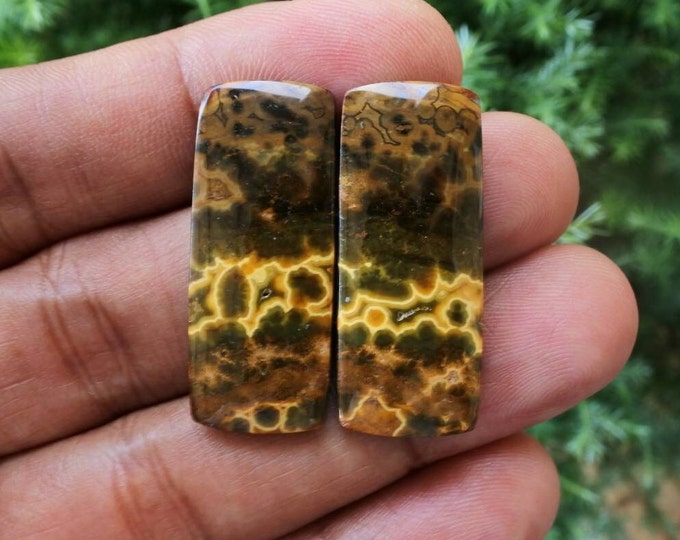 Multicolor Ocean Jasper Earring Pair
