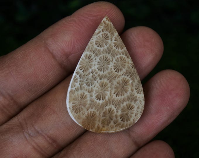 Coral agate,Agate rock,Agate stone, Malachite Gemstone,Mohs scales of mineral hardness,Agate crystal meaning,Larimar gemstone,Tree agate