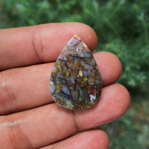 Plume Multicolor Opalized Petrified Wood
