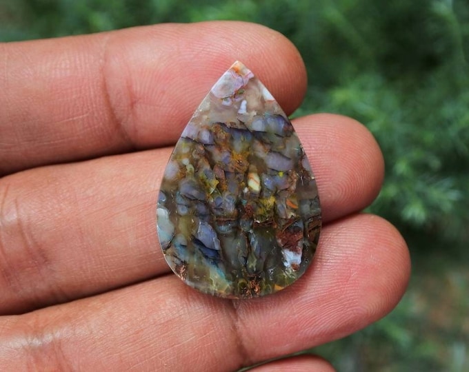 Plume Multicolor Opalized Petrified Wood
